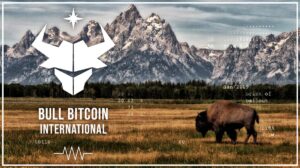 Bull Bitcoin bonus