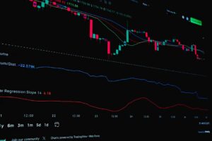 BITPOINT bonus